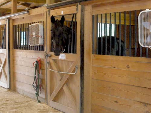 Lynnwood Equestrian Center 20 stall barn
